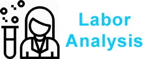 Labor Analysis